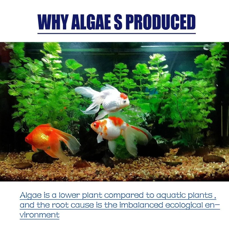 50g High Efficiency Algaecide  - Planted Aquarium Algae ulasan dan harga