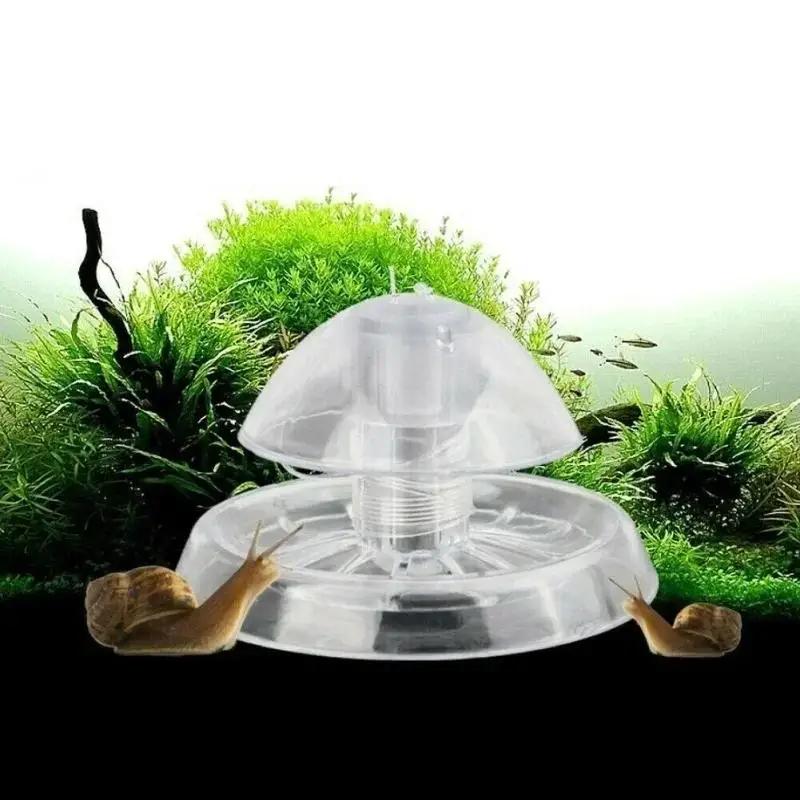 2026 New 6/8CM Clear Plastic S - Aquarium Planted Plants ulasan dan harga