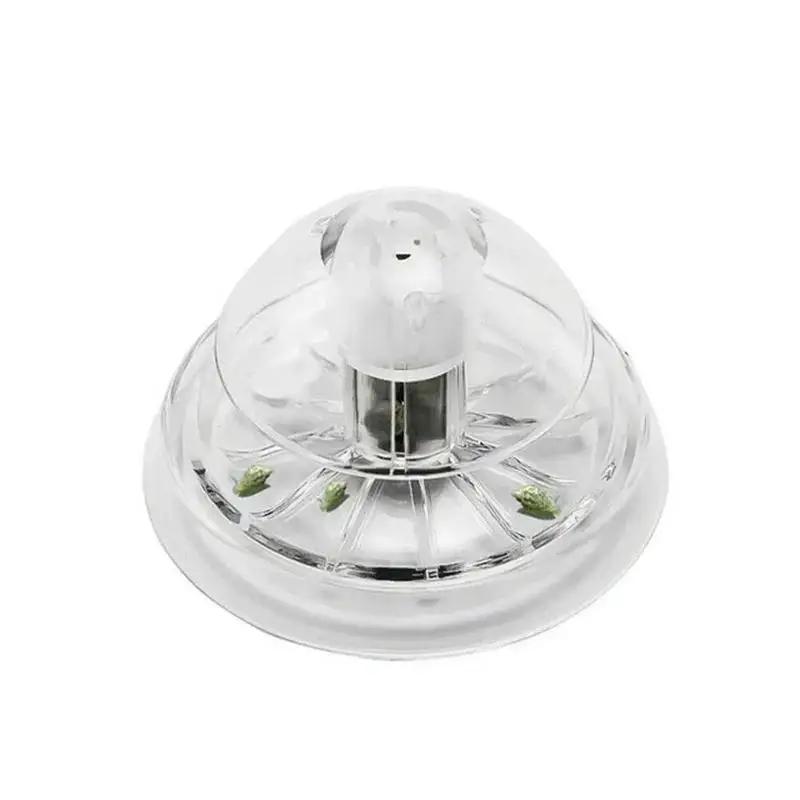 2026 New 6/8CM Clear Plastic S - Aquarium Planted Plants ulasan dan harga