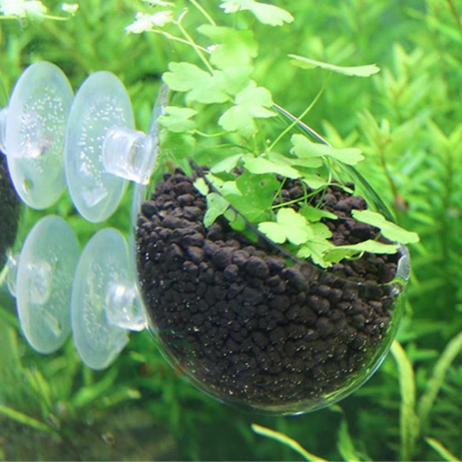 Aquarium Plant Holder Glass Aq - Aquarium Plant Gel ulasan dan harga