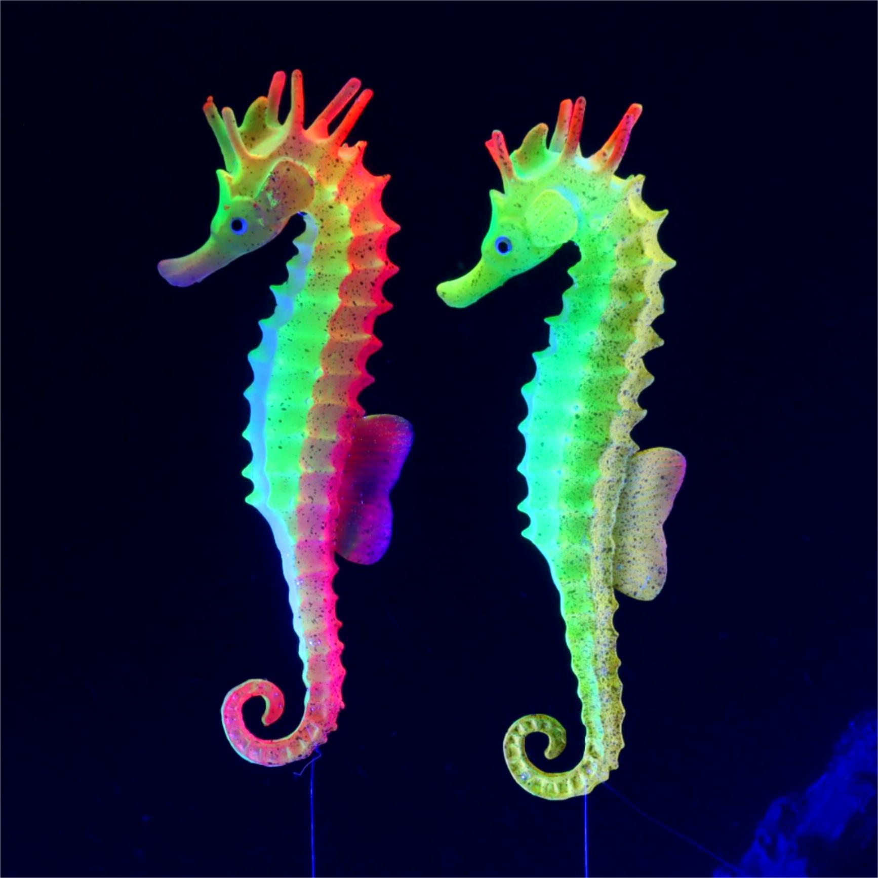 1pc Fish Tank Decoration Lumin - Aquarium Plant Gel ulasan dan harga