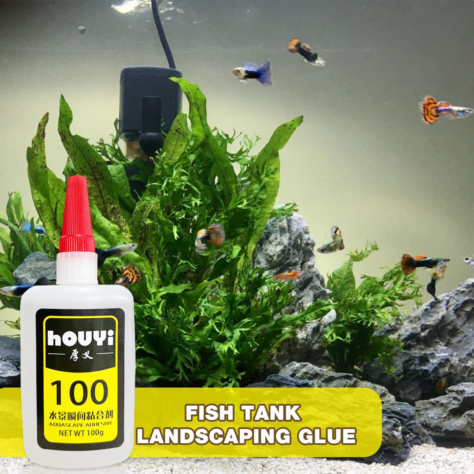 50/100g Clear Instant Glue Aqu - Aquarium Planted Plants ulasan dan harga