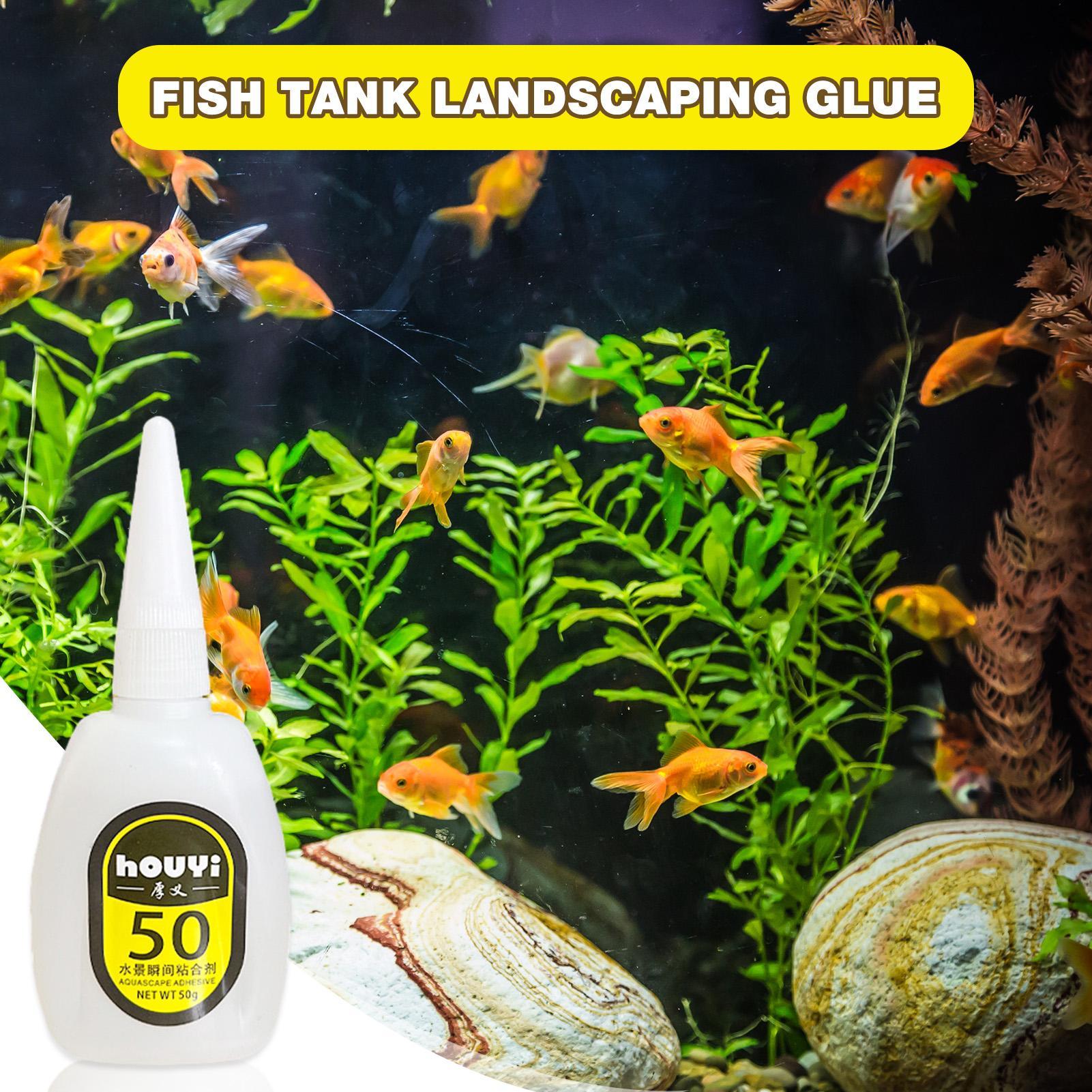 50/100g Clear Instant Glue Aqu - Aquarium Planted Plants ulasan dan harga