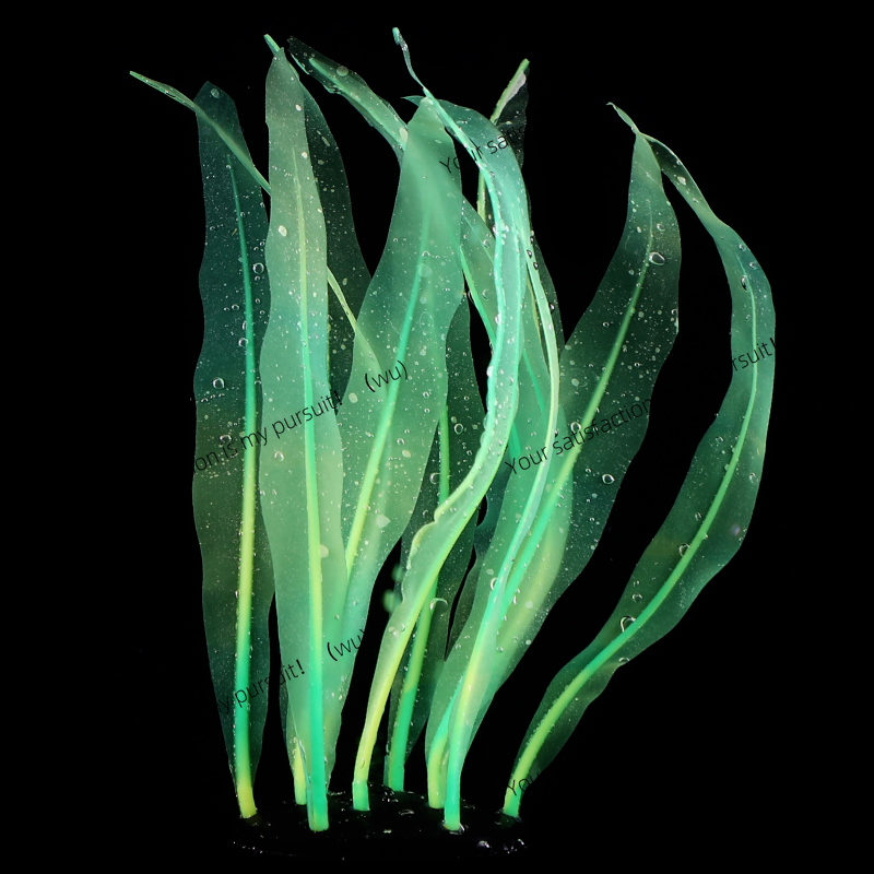 Simulated Kelp Plant Decoratio - Aquarium Plant Gel ulasan dan harga