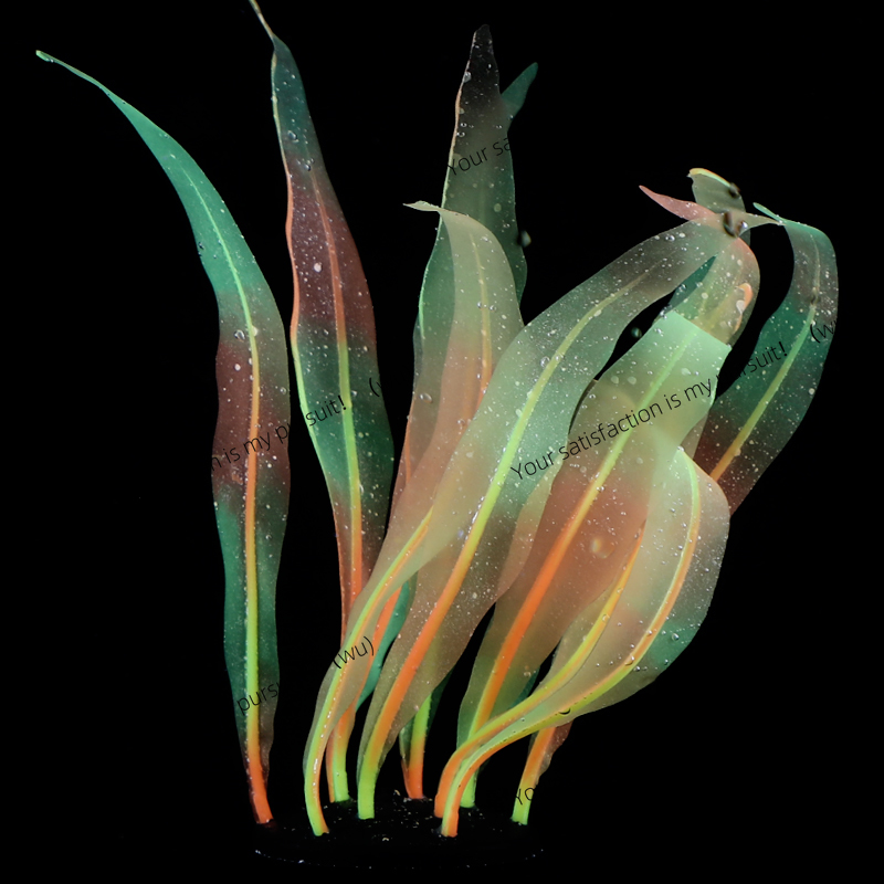 Simulated Kelp Plant Decoratio - Aquarium Plant Gel ulasan dan harga