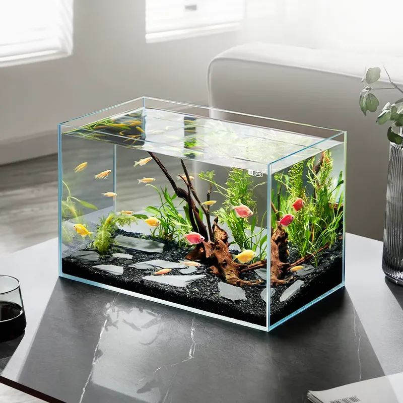 YEE Factory Wholesale ultra cl - Aquarium Plant Factory ulasan dan harga