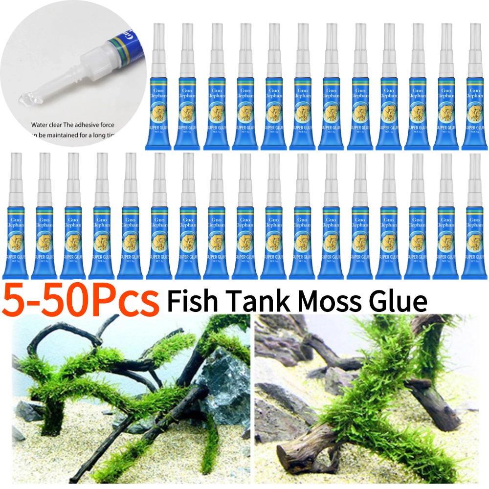 50-5Pcs Fish Tank Landscaping  - Aquarium Plant Gel ulasan dan harga